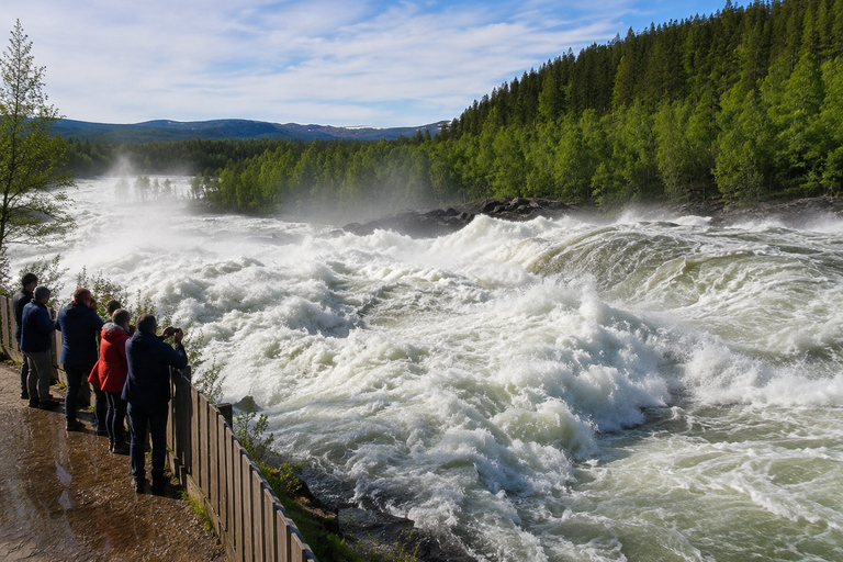 From Tromsø: Polar Park & Målselvfossen Full-Day Tour