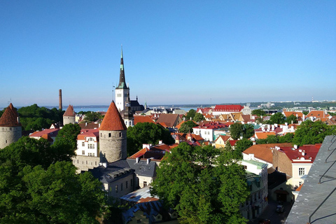 De Helsínquia: Viagem de 1 dia a Tallinn com ingressos para o ferry