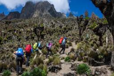 Caminhada de 1 dia no Monte Quênia saindo de Nairóbi