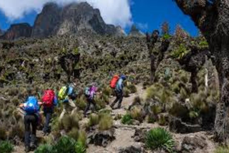 Caminhada de 1 dia no Monte Quênia saindo de Nairóbi