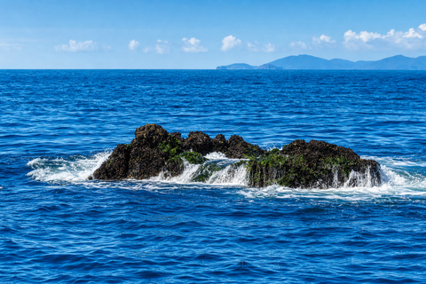 Khao Lak: Similan and Surin Daytrip 2 dives + Hotel Transfer Friday Option — Richelieu Rock