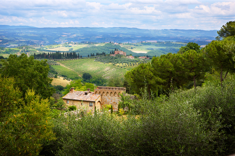 Half-Day Tour of San Gimignano From Florence