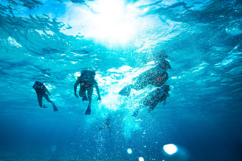 Isla Mujeres: Katamaran z otwartym barem, snorkelingiem i lunchemWycieczka z otwartym barem