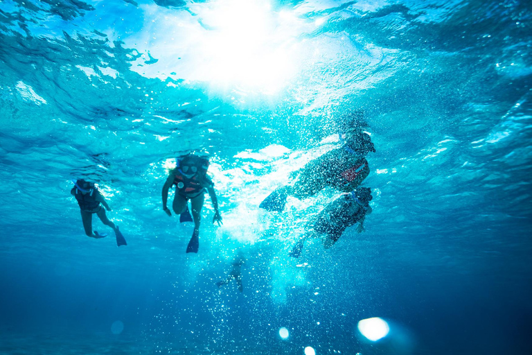 Isla Mujeres: Katamaran z otwartym barem, snorkelingiem i lunchemWycieczka z otwartym barem