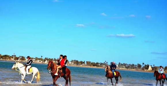 Djerba: Horseback Riding Tour between the Beach and the Green Lagoon