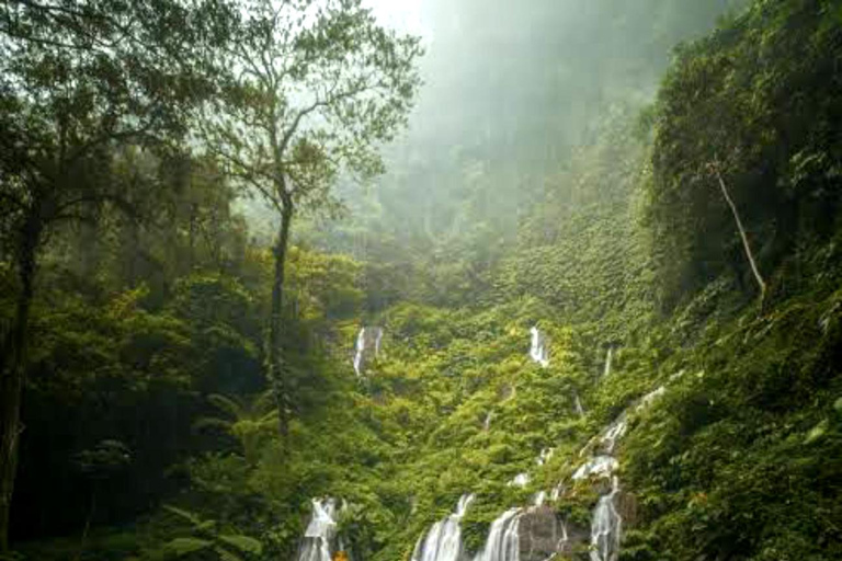 MUNDUK: Passeio de um dia de caminhada na selvaTour com traslado do hotel