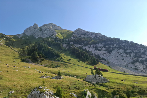 Pilatus: Summit Hike supported by Train and Gondola