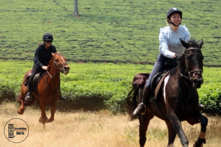 UGANDA HORSEBACK — SCENIC LANDSCAPES & ADVENTURES | 8-Days