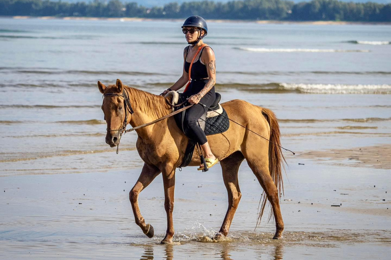 Phuket Sunset Beach Horseback Journey