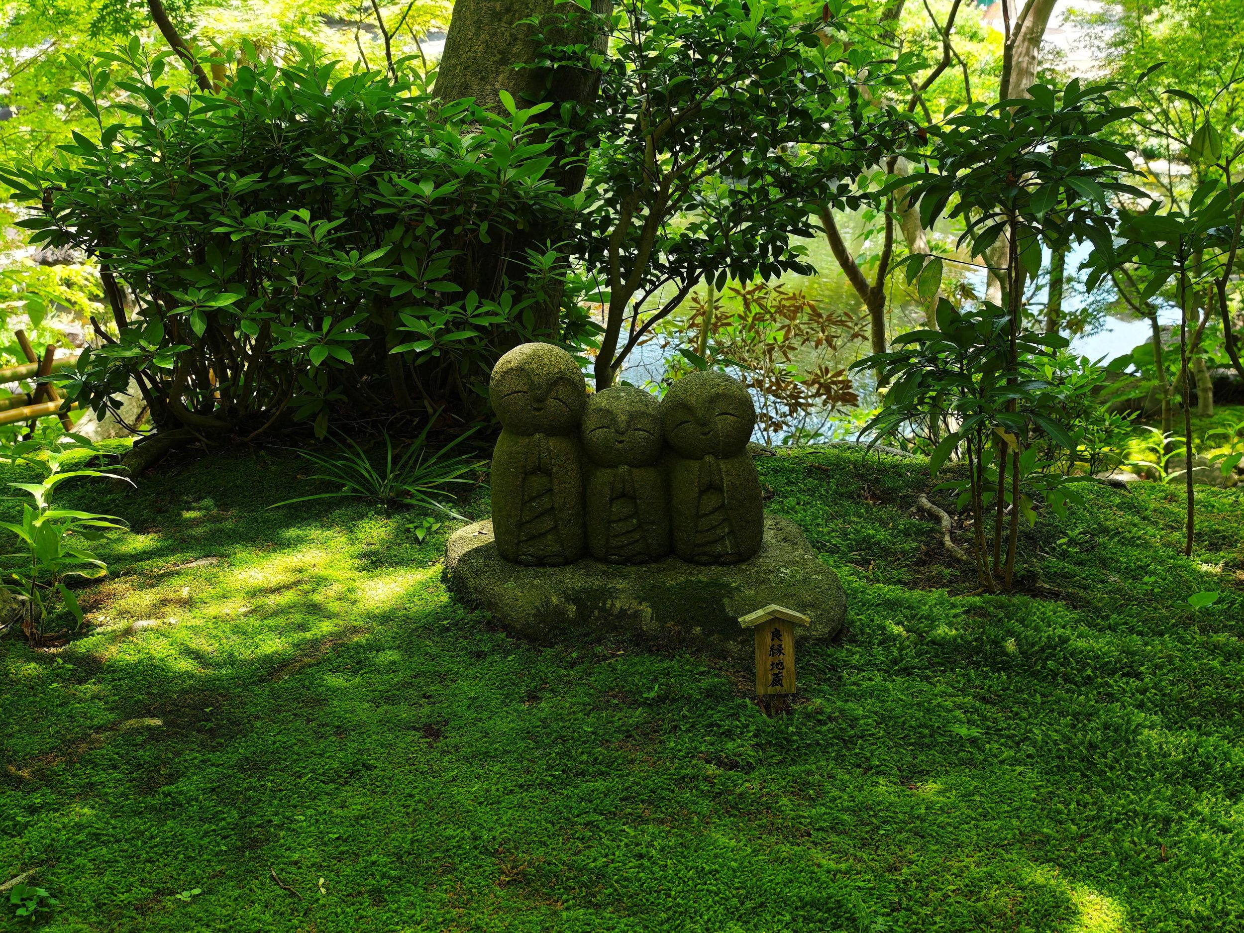 Kamakura Zen: Großer Buddha, Natur, Bambus und Samurai-Kultur