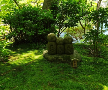 Kamakura Zen: Great Buddha, Nature, Bamboo & Samurai Culture