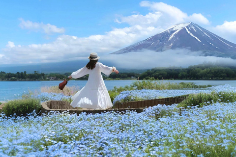 Tokyo: Full-day Tour of the Six Majestic Spots of Mt Fuji 8:00 AM Shinjuku West Exit, SMBC Meeting Point
