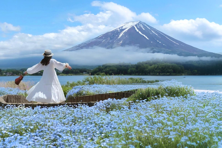 Tokyo: Full-day Tour of the Six Majestic Spots of Mt Fuji 8:00 AM Shinjuku West Exit, SMBC Meeting Point