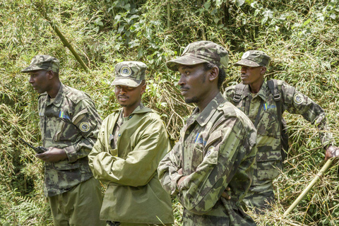 From Kigali: Bisoke Summit Trek, Crater Lake 1 Day Safari