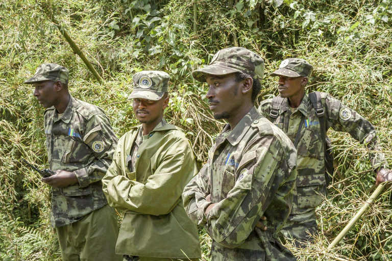 From Kigali: Bisoke Summit Trek, Crater Lake 1 Day Safari