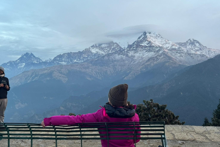 Från Pokhara: 4-dagars Ghorepani Poon Hill Trek med guide