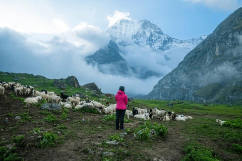 Pokhara: 8-Day Api Himal Base Camp Trek (Hidden Gem)