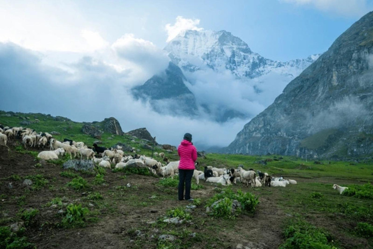Pokhara: 8-Day Api Himal Base Camp Trek (Hidden Gem)