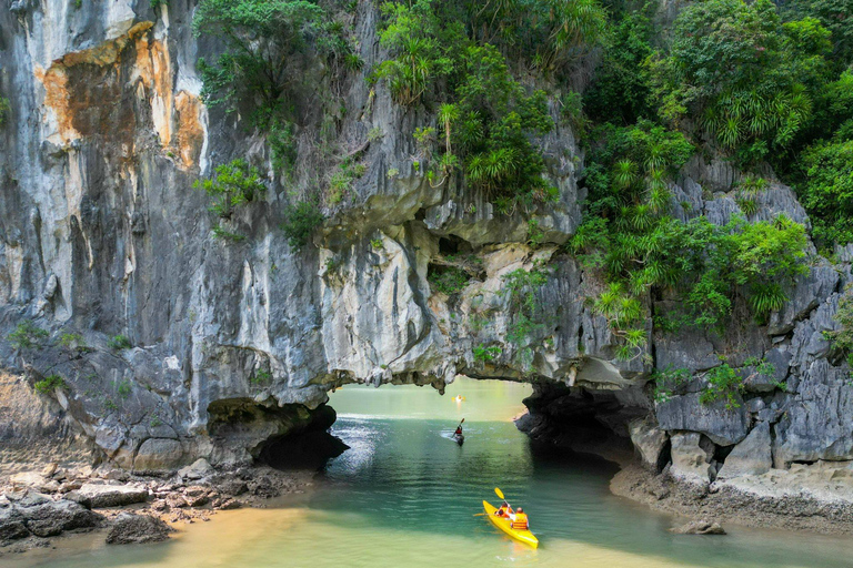 Depuis Hanoi : Croisière dans la baie d&#039;Halong avec déjeuner et transferts