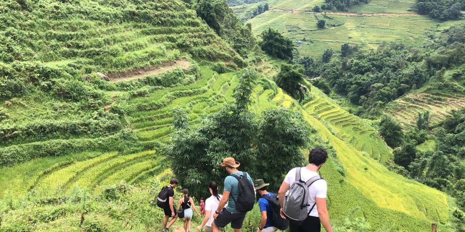 Sapa: Trekking Y Linh Ho, Lao Chai & Ta Van Half-day Tour | GetYourGuide