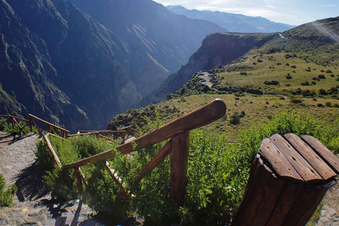 From Arequipa: Colca Canyon Day Trip with Condor Viewing Return to Arequipa
