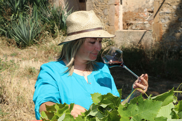 Mas Farchat: Wine tasting and tapas in the heart of nature Mas Farchat: Wine tasting with the winemakers