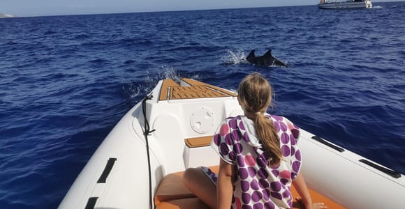Gran Canaria: Unique Private Boat Experience to Connect with the Sea