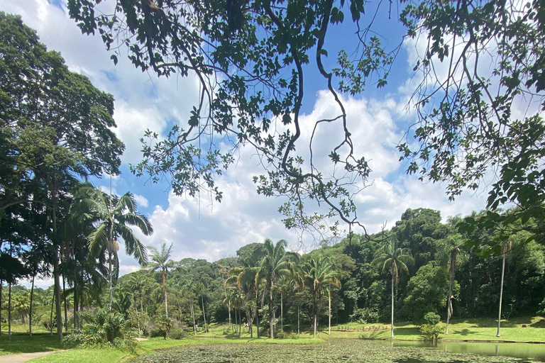 São Paulo: Führung durch den Botanischen Garten