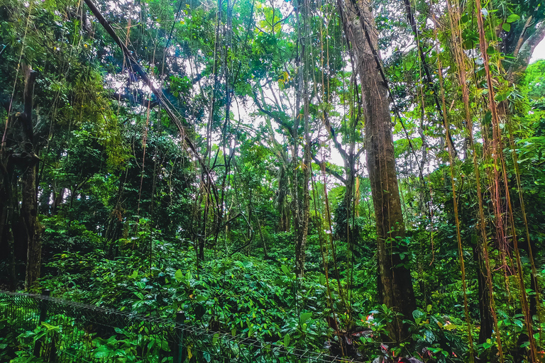 Bali: Monkey Forest, Taman Ayun, Tanah Lot Temple Tour Private Tour Without Entry Tickets