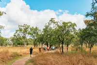 Chillagoe Caves und Outback von Cairns Ganztagestour - Hizvo