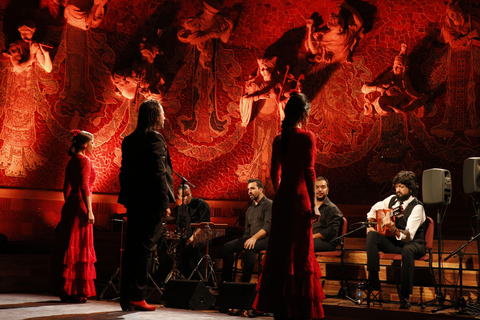 Barcellona: Biglietto d&#039;ingresso per lo spettacolo di flamenco Gran Gala