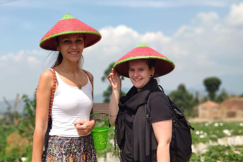 Bandung: cratere vulcanico, sorgenti termali, bagni di fango e tè