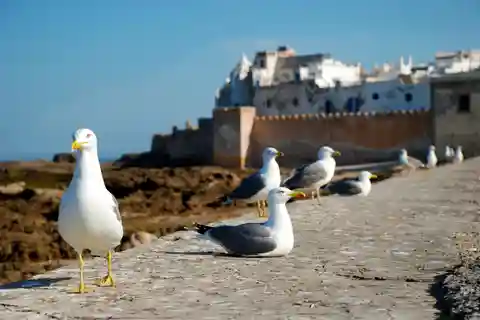 Essaouira: Die Stadt, die immer bei dir ist Tour