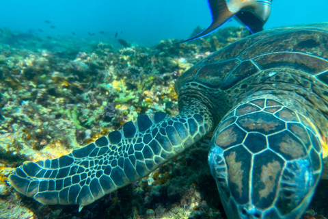 Mascate: Excursión de snorkel por las Islas Daymaniyat con refrescosMascate: Experiencia de bienestar Daymaniyat (puesta de sol)