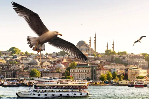 Istanbul: Bosporus morgon- och solnedgångskryssning med valfritt stopp