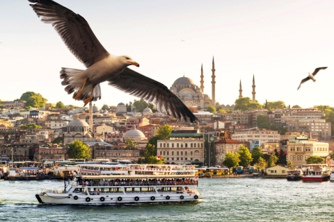 Istanbul: Bosphorus Morning or Sunset Cruise Stop Asian Side Bosphorus Afternoon Cruise with Lunch
