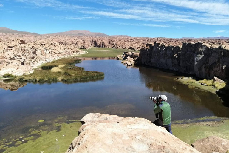 2-Días Salar ida y vuelta desde Uyuni