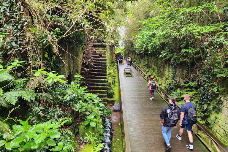 Yokosuka: Boat Trip to Natural Island and Naval Port Cruise