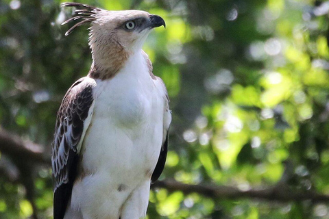 Parc national de Yala : Excursion privée d&#039;une journée en safari