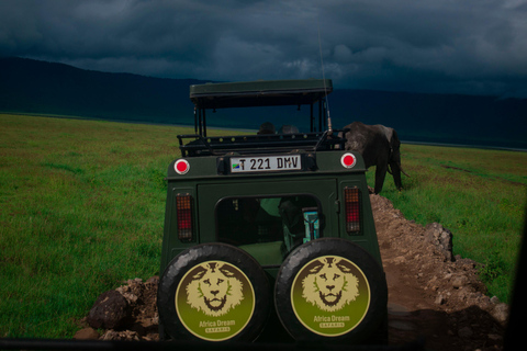 Tanzania: 2-Day Budget Safari to Tarangire and Ngorongoro