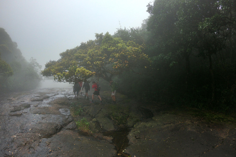 Kandy: Waterfalls and Local Village Day Tour with Lunch