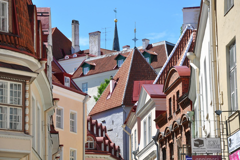 From Helsinki: Tallinn Day Trip with Ferry Tickets