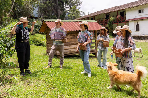 Medellin: La Casa Grande Coffee Hacienda - Coffee Experience