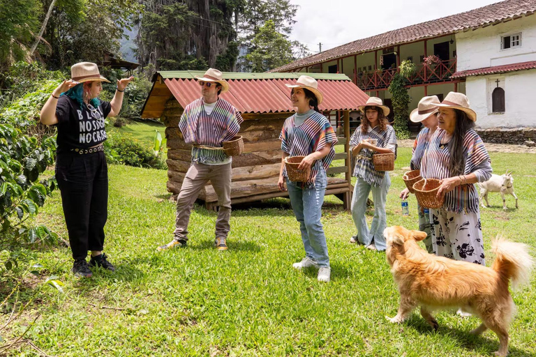 Medellin: La Casa Grande Coffee Hacienda - Coffee Experience