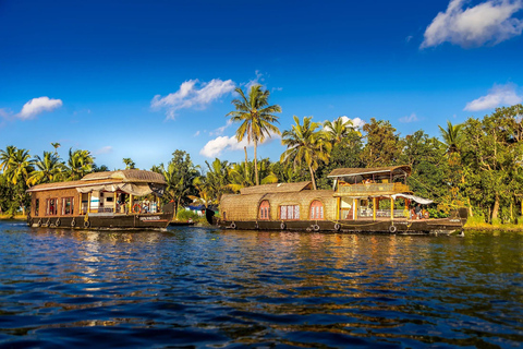 Kerala: 6-dagars familjeutflykt med Munnar, Thekkady och mer