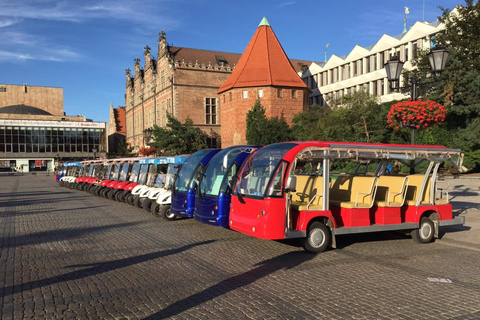 Danzica: tour guidato privato della città in golf cart