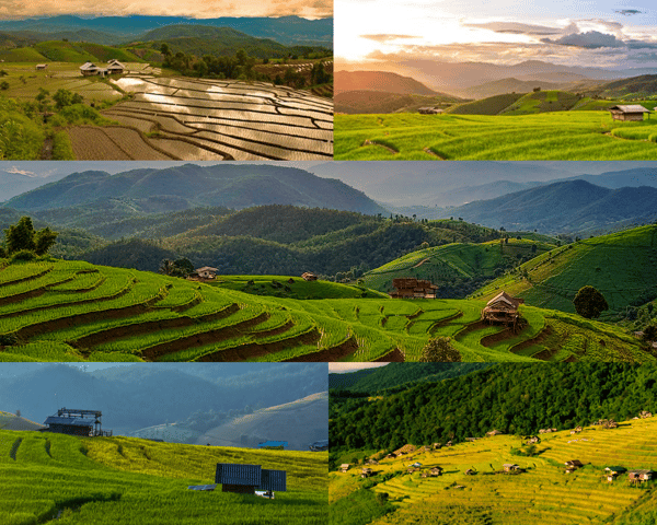 Chiang Mai : Pa Bong Piang Rice Terraces & Doi Inthanon