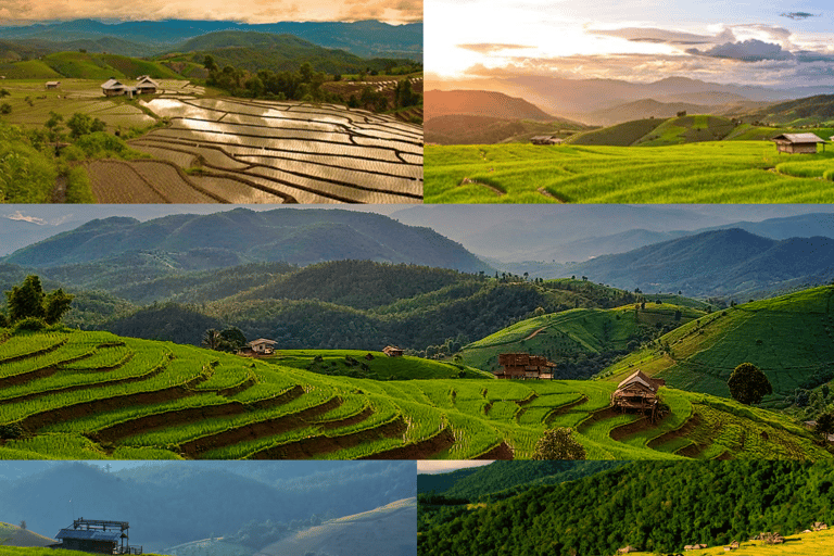 Chiang Mai: terraços de arroz de Pa Bong Piang e Doi Inthanon