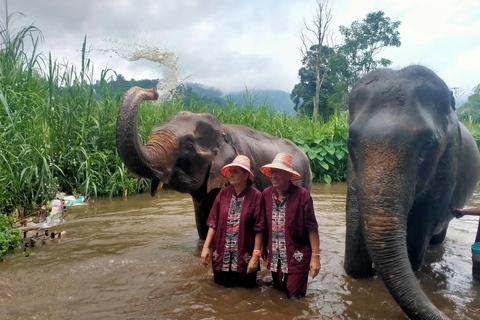 4 Experiences: Elephants, Sticky waterfalls, Market &amp; templeElephants: Sticky waterfalls: Local Market: Wat Banden