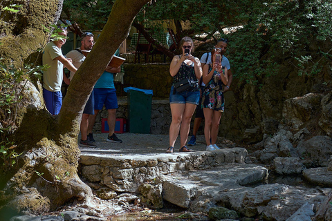 Private 4-5-Hour Tour and explore the hidden Gems of Rhodes Private 4-Hour Tour and explore the hidden Gems of Rhodes